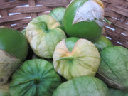 Toma Verde Tomatillo