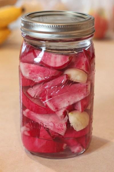 Scarlet Ohno Revival