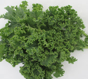 Vates Blue Curled - Back in February 2025