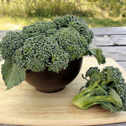 Waltham 29 Broccoli